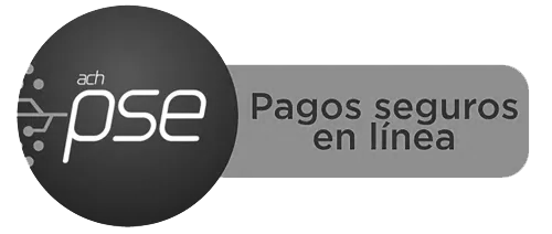pse-logo-big